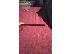 PoulaTo: LG NEXUS 5 16 GB